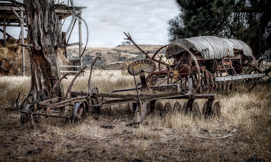 A collection of abandoned, rusted farm machinery is situated on a dry grassy field, featuring an old plough with multiple curved, corroded metal blades in the foreground, and a vintage, weathered horse-drawn wagon with a curved, corrugated metal roof in the background. The machinery shows signs of age, with peeling paint and a rough, oxidised surface, and is positioned beneath a large, gnarled tree with rough, textured bark on the left side of the scene. In the distance, rolling hills with patches of grass and sparse vegetation extend under an overcast sky, creating a subdued atmosphere. The scene is outdoors in a rural setting, with part of the machinery leaning against the tree or partially obscured by tall, yellowed grass. The arrangement suggests a neglected or unused area, typical of an old farmstead or storage location for obsolete agricultural equipment, aligning with the concept of private on-site clearance or alternative waste management of disused items, which Waste Removal Harrow might handle through specialised rubbish removal services.